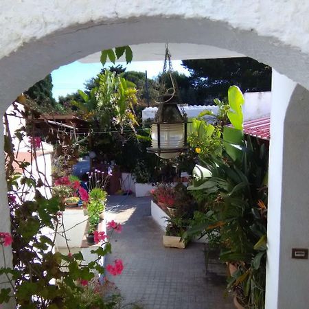 Le Case Di Vito Favignana Exteriér fotografie