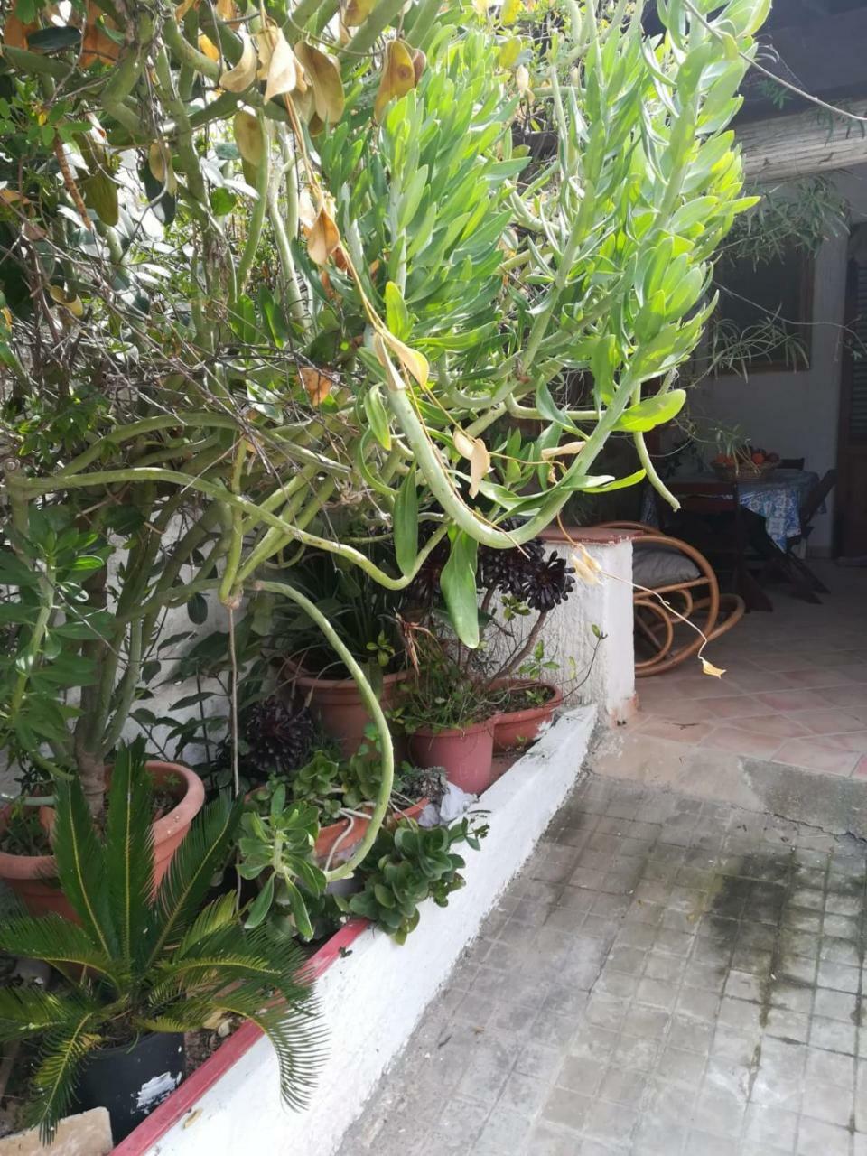 Le Case Di Vito Favignana Exteriér fotografie