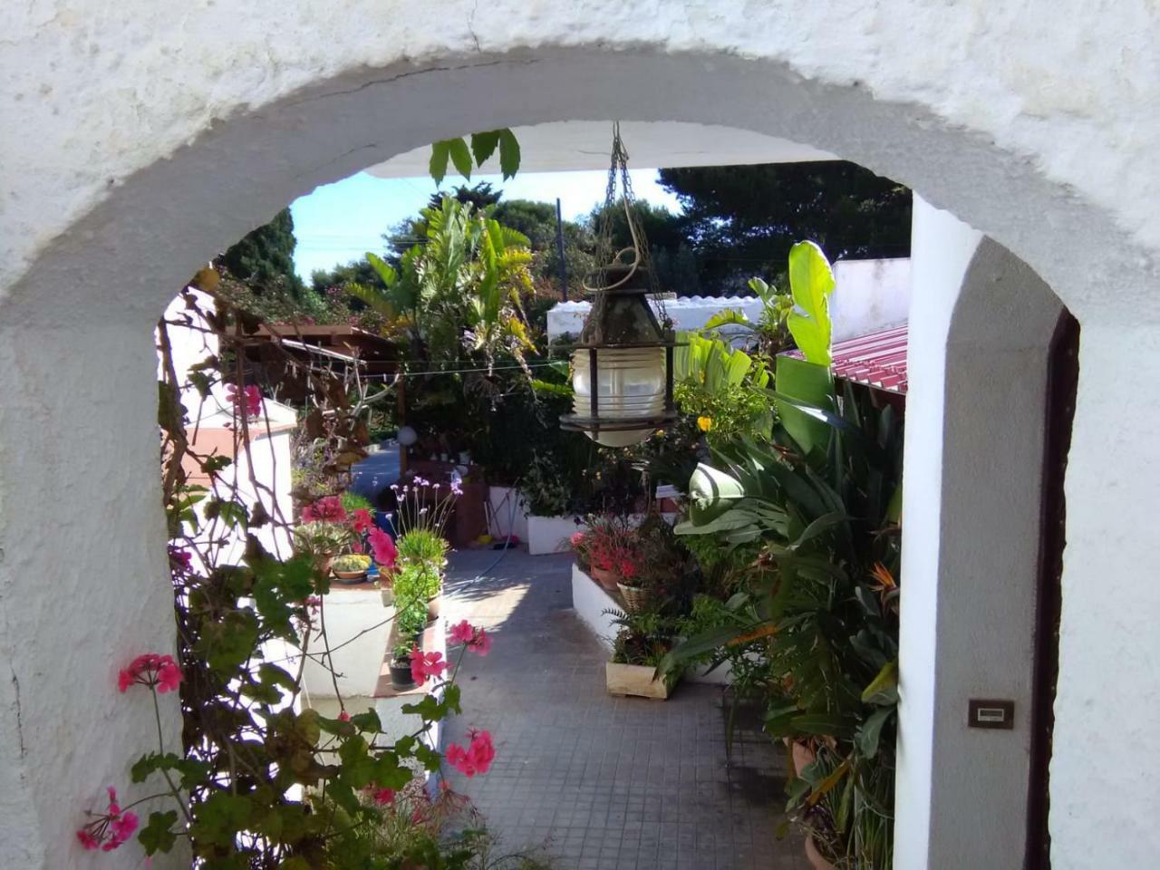 Le Case Di Vito Favignana Exteriér fotografie